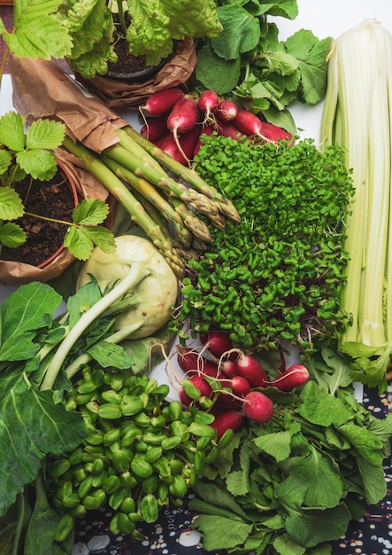 Arranjo de diferentes legumes saborosos fundo Colheita de conceito de comida saudável