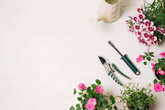 Foto arranjo de flores desabrochando com secateur