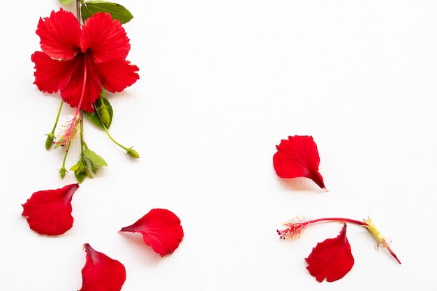 Arranjo de hibisco de flores vermelhas em estilo de cartão postal