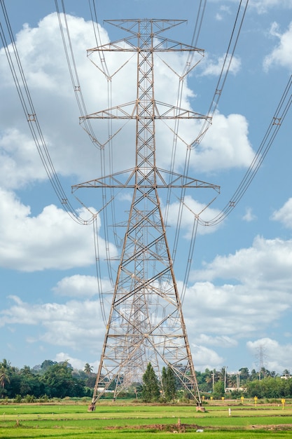 Arranjo de poste de alta tensão, torre de transmissão em campo de arroz com céu azul no campo