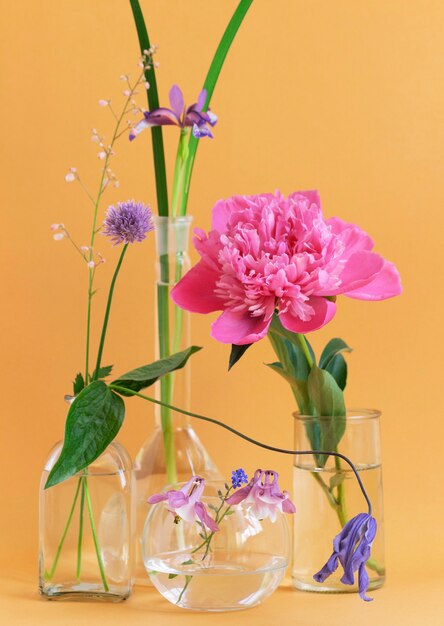 Arranjo de várias flores, íris, aquilégia, peônia em vasos de vidro