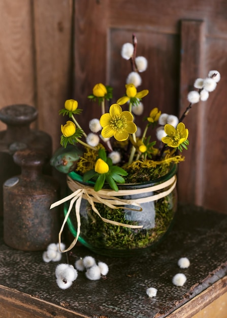 Arranjo florístico de primavera com flores amarelas de acônito de inverno e amentilhos de salgueiro em frasco de vidro