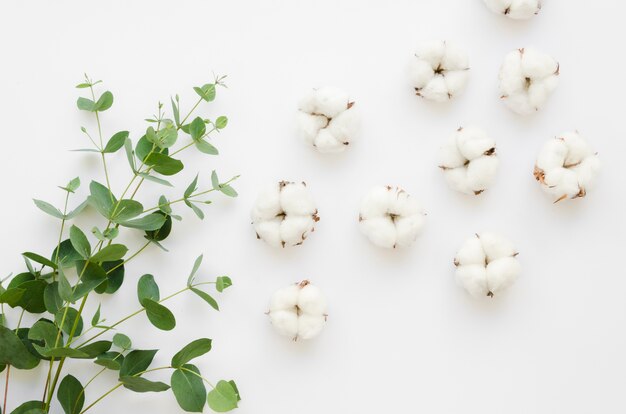 Arranjo liso leigo com folhas e flores de algodão