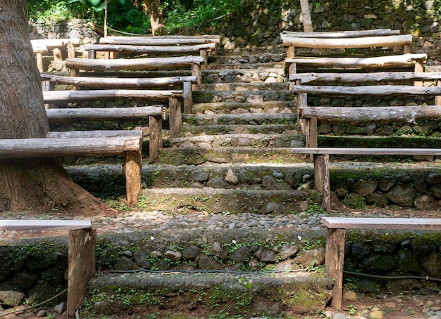 Arranjos de assentos naturais na floresta em Yogyakarta Indonésia