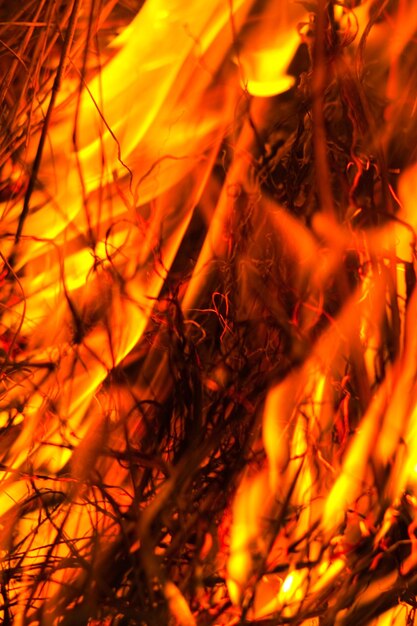 Arrasta à noite emitindo muitos gases de efeito estufa no ar, representando uma ameaça ao meio ambiente