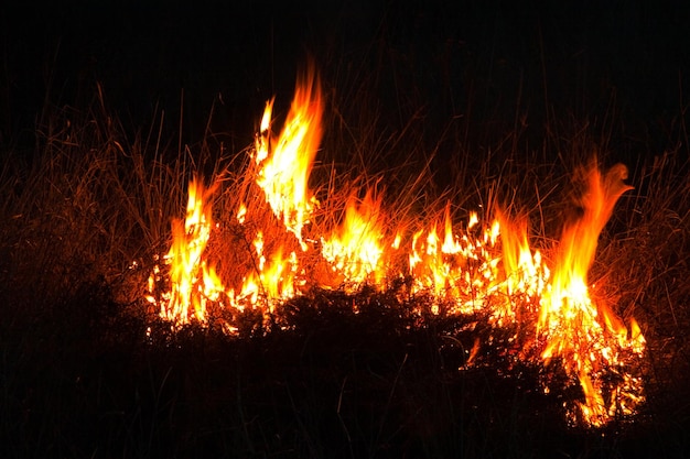 Arrasta à noite emitindo muitos gases de efeito estufa no ar, representando uma ameaça ao meio ambiente