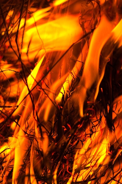 Arrasta à noite emitindo muitos gases de efeito estufa no ar, representando uma ameaça ao meio ambiente