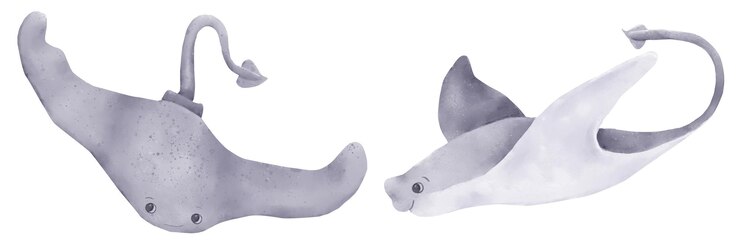 Foto array de mar con una larga cola graciosa ilustración en acuarela un conjunto de animales marinos de las profundidades del mar aislados en un fondo blanco array de pescado del mundo submarino del océano