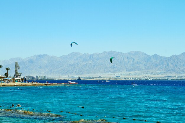 Arrecife de coral en el Mar Rojo Eilat, septiembre de 2018