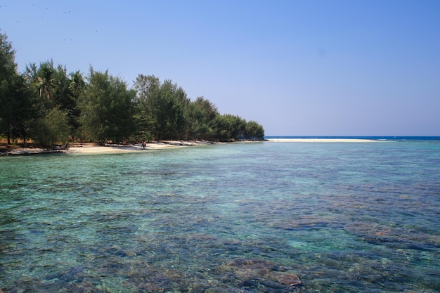 Arrecifes de coral vistos bajo aguas turquesas claras y cielo azul karimun Jawa Indonesia