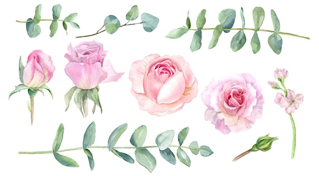 Foto arredondado com delicadas rosas aquareladas e eucalipto