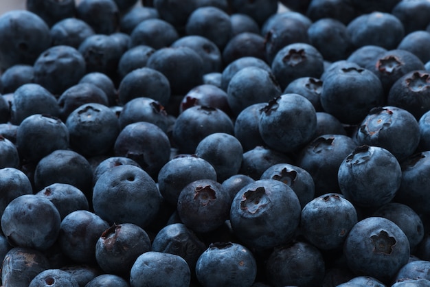 Arreglo de arándanos para las frutas de fondo