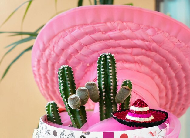 Arreglo de cactus y sombrero rosa para la fiesta