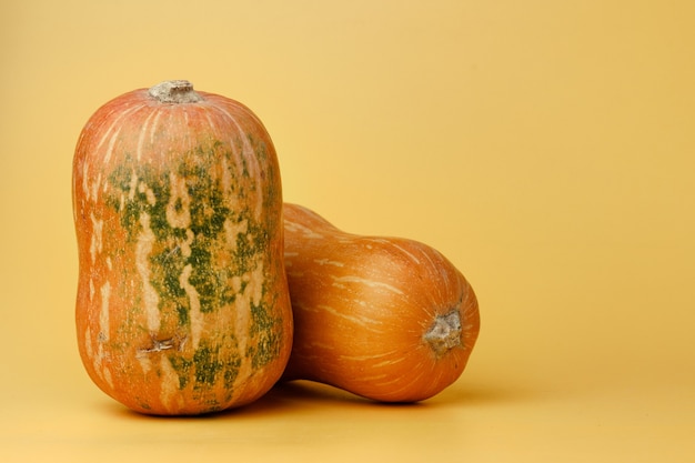 Foto arreglo de calabaza naranja cerrar