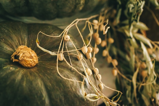 Arreglo de decoración rústica de otoño con calabazas de cerca