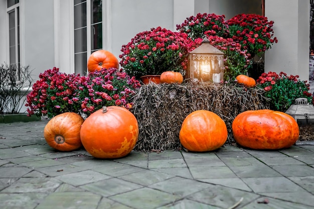 Arreglo floral de calabazas para Halloween