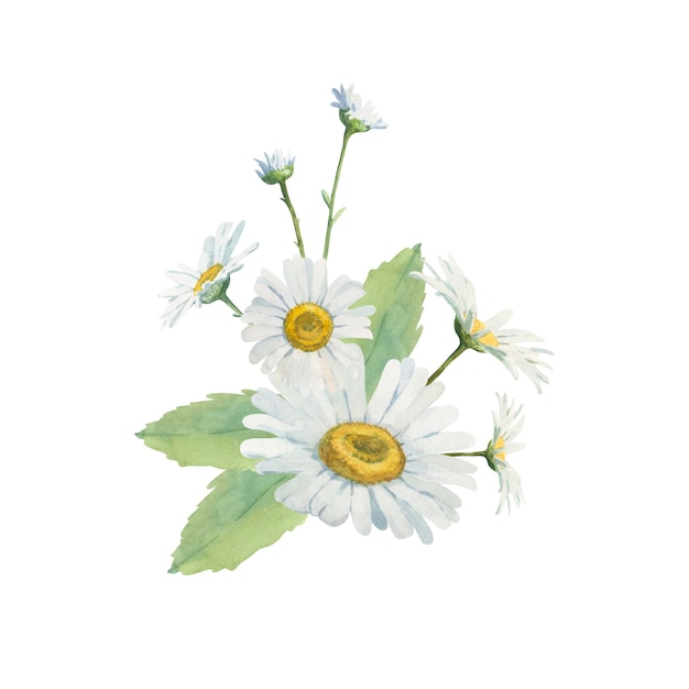 Arreglo floral delicado de margaritas blancas de diferentes tamaños