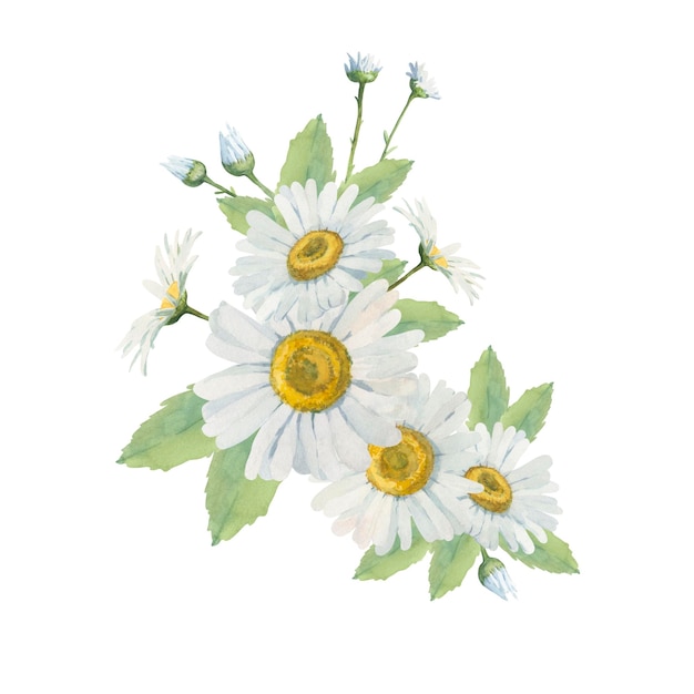 Arreglo floral delicado de margaritas blancas de diferentes tamaños