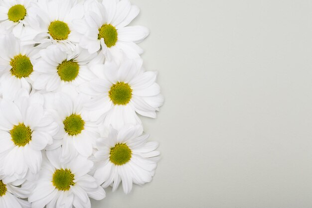 Arreglo floral flores blancas sobre un fondo texturizado