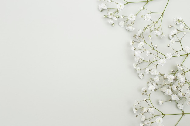 fondo floral abstracto con pequeñas flores secas de gypsophila con sombra  sobre un fondo beige. enfoque variable 6970018 Foto de stock en Vecteezy
