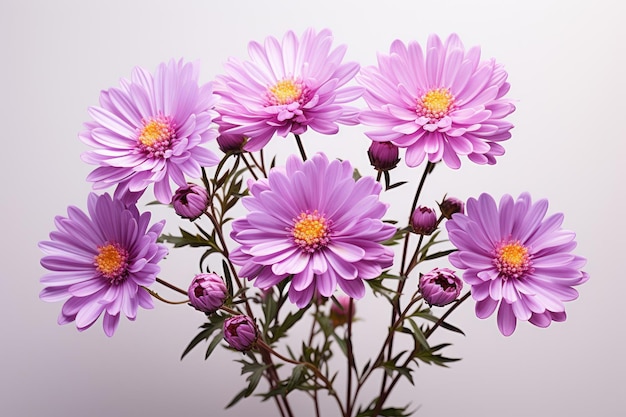 Arreglo floral con una hermosa flor de Aster