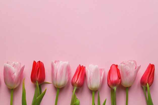 Foto arreglo floral sobre fondo rosa