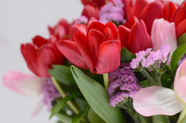 Arreglo floral del tulipán rojo en el fondo blanco