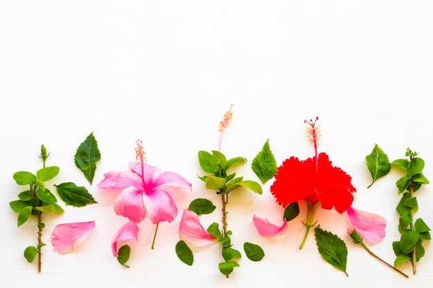 arreglo de hibisco de flores rojas rosadas estilo postal endecha plana