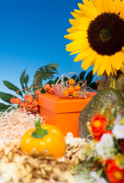 Arreglo de otoño alrededor de caja de regalo