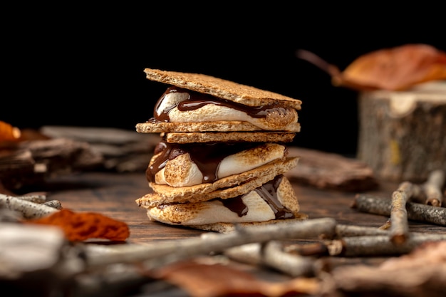 Arreglo de postre sabroso s'mores