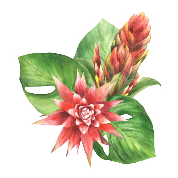 Foto arreglo tropical con brotes de flores de bromelias rojas hojas de palma anthurium hojas de plantas domésticas hojas exóticas