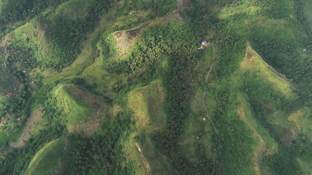 Foto de arriba hacia abajo, la colina verde de asia, vista aérea de la naturaleza de nadie en el paisaje rural de legazpi, la montaña filipina.