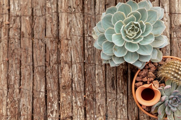 Arriba ver flores sobre fondo de madera