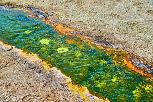 Arroyo de aguas alcalinas verdes en cuenca de Yellowstone