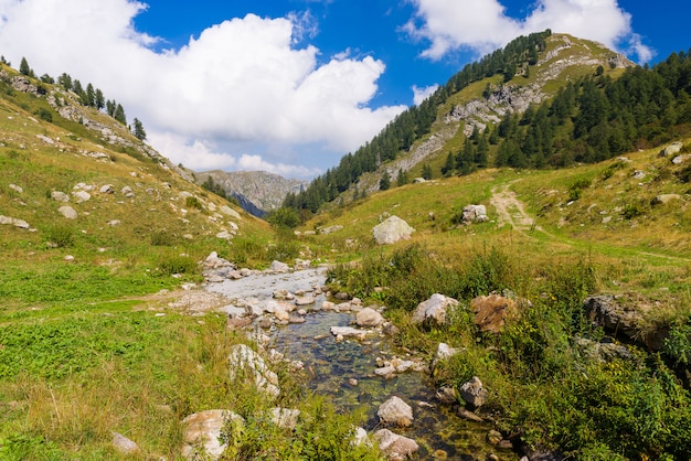 Arroyo en los Alpes de Liguria