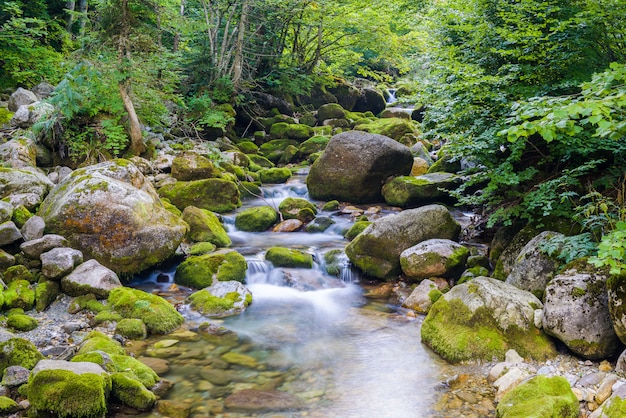 Arroyo en los Alpes de Liguria