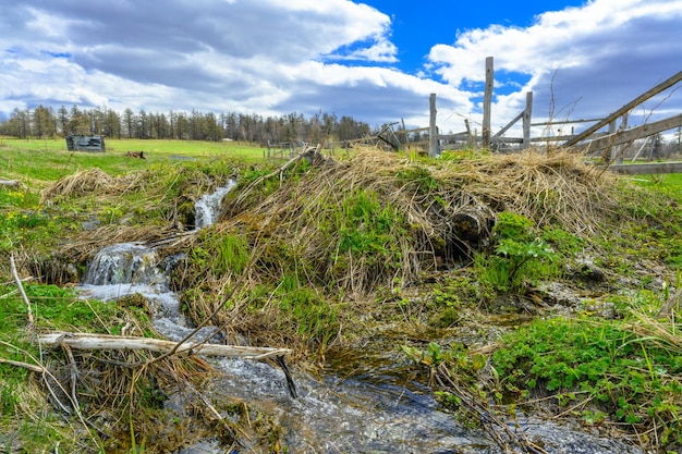 Arroyo áspero del sur de los Urales con una vegetación paisajística única y diversidad de la naturaleza