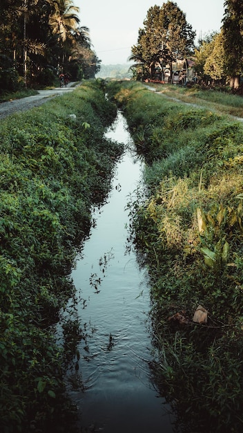 Un arroyo en un campo con hierba y árboles.