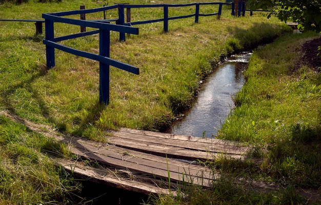 Arroyo en el campo