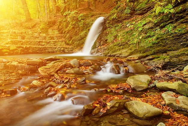 Arroyo de cascada de montaña de otoño en las rocas con coloridas hojas secas caídas rojas, fondo estacional natural