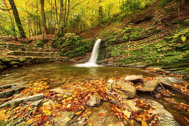 Arroyo de cascada de montaña de otoño en las rocas con hojas secas caídas rojas coloridas fondo estacional natural Lumshory Transcarpacia Ucrania