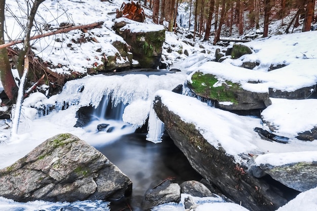 Arroyo congelado con rocas y nieve en un bosque