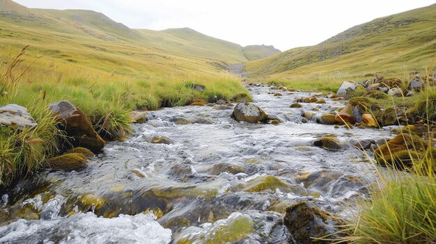 Foto un arroyo corre a través de una ladera cubierta de hierba