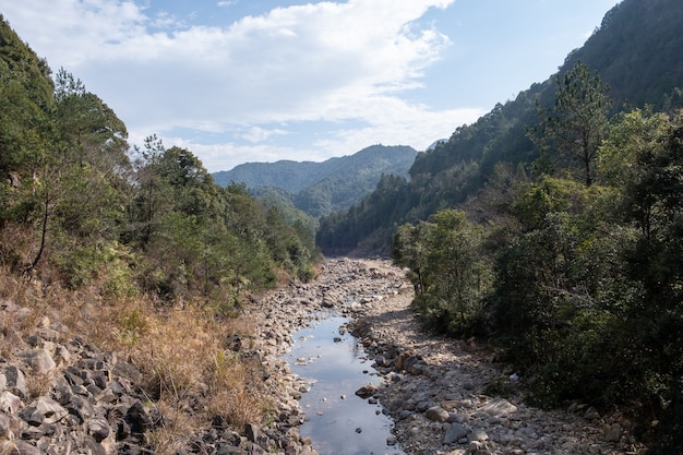 Foto un arroyo fluye desde el bosque de montaña.