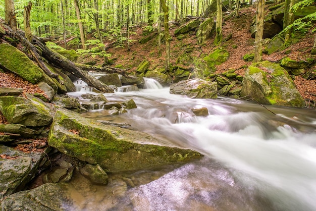 Arroyo forestal con piedras en ecología de agua limpia de larga exposición