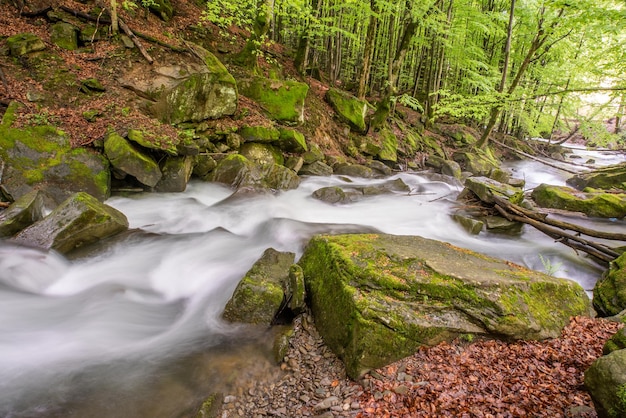Arroyo forestal con piedras en ecología de agua limpia de larga exposición
