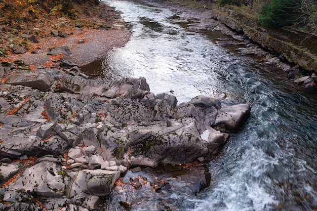 Arroyo frío cayendo por rocas y piedras de la ladera de la montaña a través del bosque de terracota con árboles amarillentos y hojas caídas en otoño