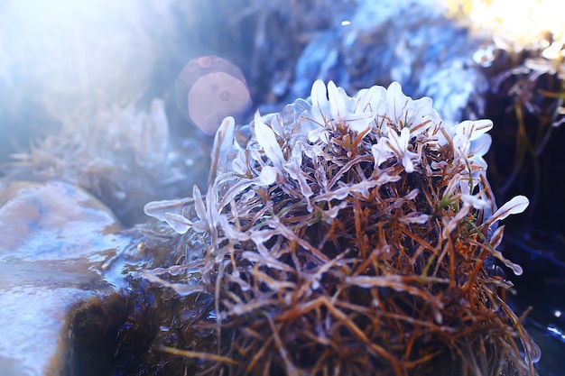 arroyo de fusión de primavera con hielo