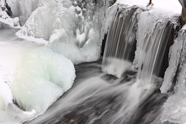 Arroyo de invierno