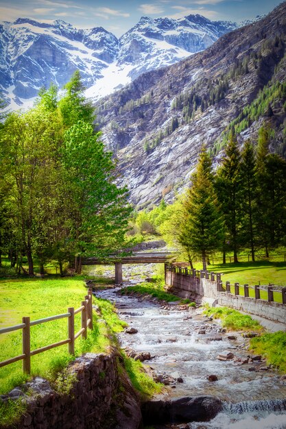 Arroyo en las laderas de los Alpes